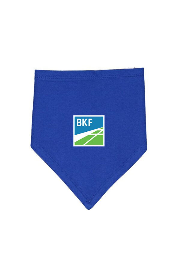 Bandana Bib